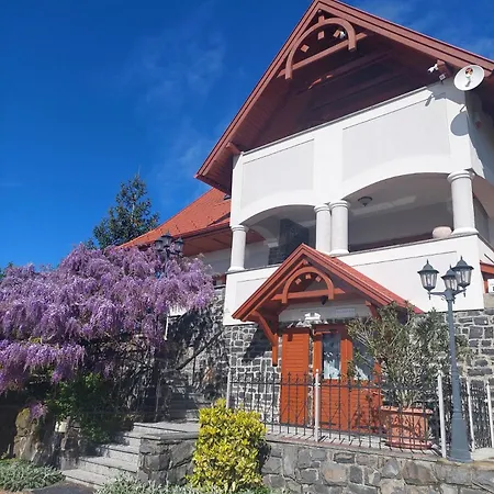 Villa Shelter Badacsony