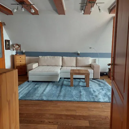 Shelter Villa *
